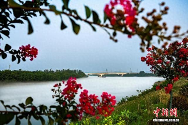 湖北宜都：雨后清江雾似纱景如画