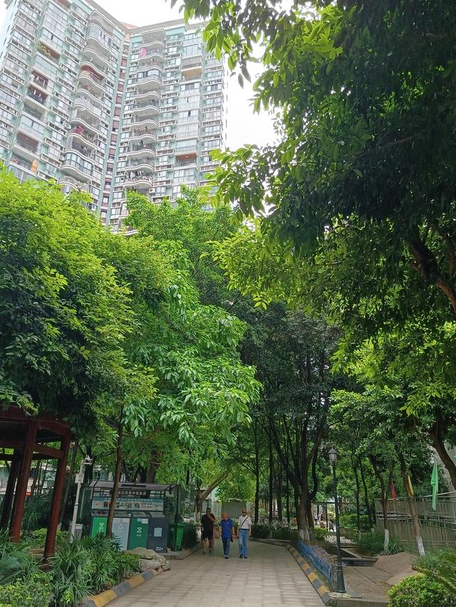忠告：年逾七旬以上的老人，节日期间慎随子女跟团游