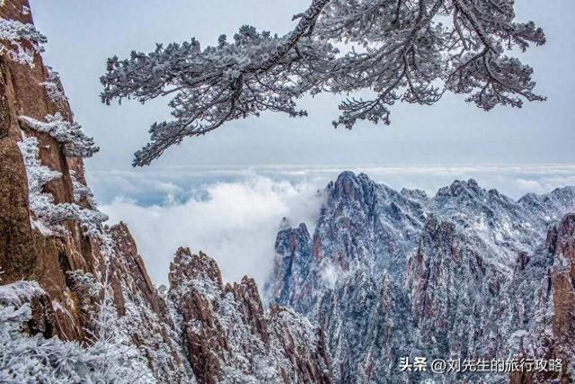 把冬天过成诗！这8个旅行地，藏着国内最浪漫的雪景和暖阳