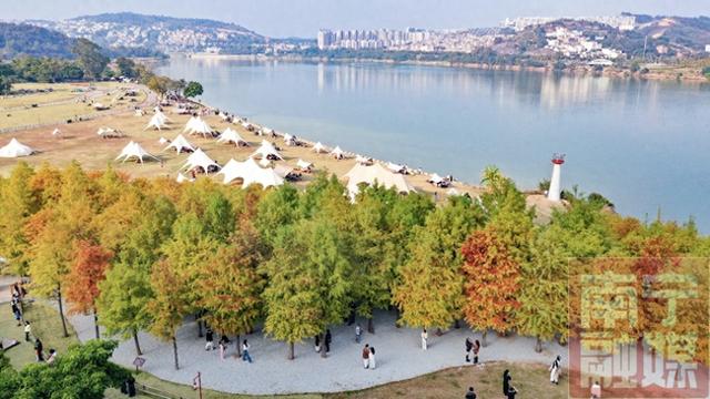 这片“橘子海森林”美翻了，简直是南宁版的洱海