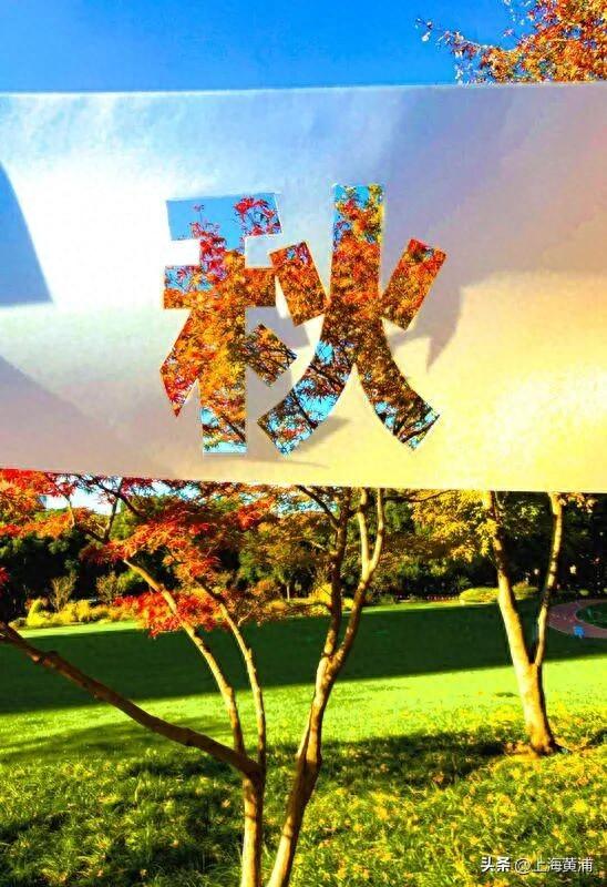 黄浦秋日调色盘已就位！市中心这处绿地人少景美超出片