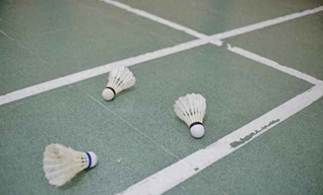 羽毛球高手速成指南：5个优雅称霸球场的秘密技巧