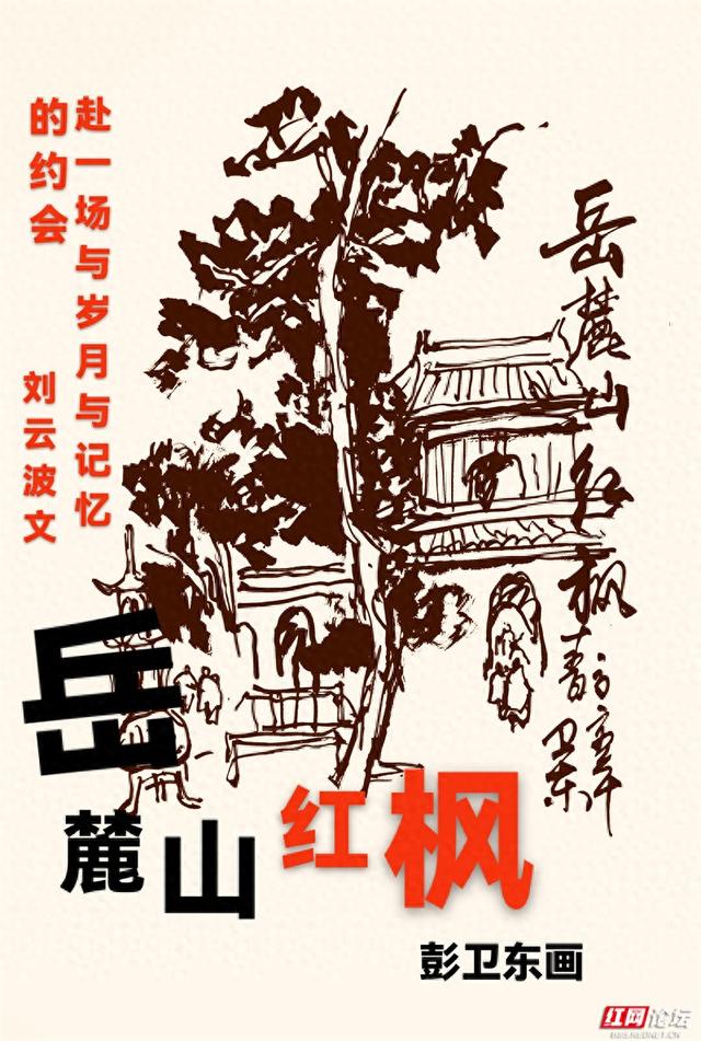 岁暖时刻丨为什么我们家三代都爱爬岳麓山？答案藏在一片红枫里