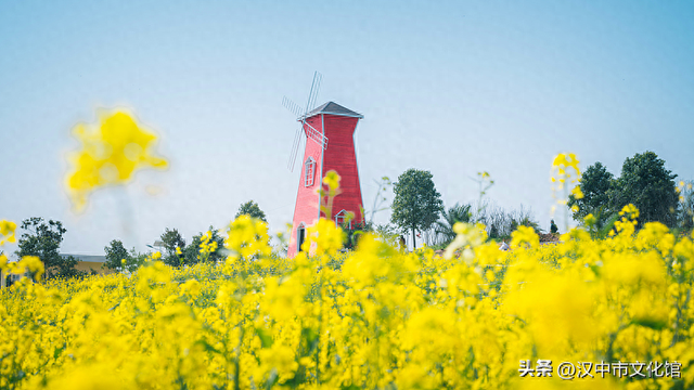 重磅来袭！2026最美油菜花海汉中春季文化旅游季精彩活动抢先看→