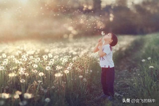 25岁之前还能长高吗（25岁前孩子犯的错）