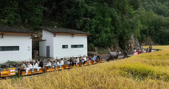“双节”圆满收官，宁陕金秋旅游引客15.45万