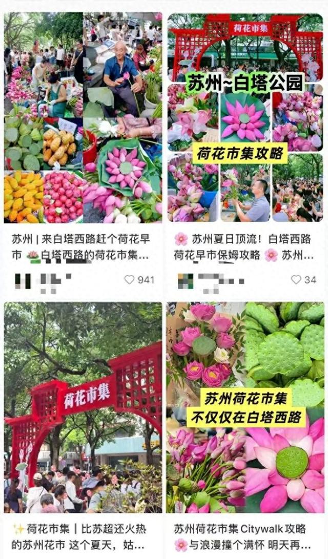上海人组团去追这个“夏日顶流”，狂晒朋友圈！限时开放