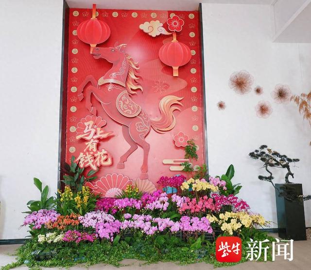 兰香伴年味！第七届花卉文化嘉年华1月16日启幕