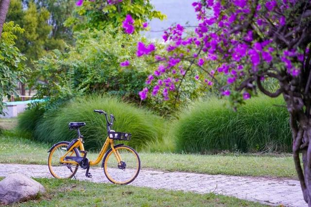 春风入大理，这10件事不负好春光