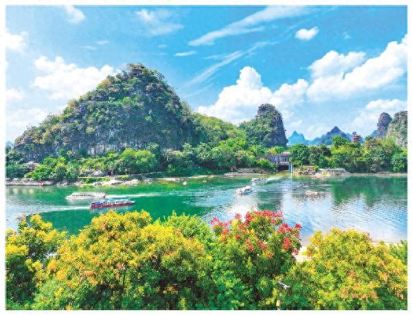 栾树花开“扮靓”漓江岸