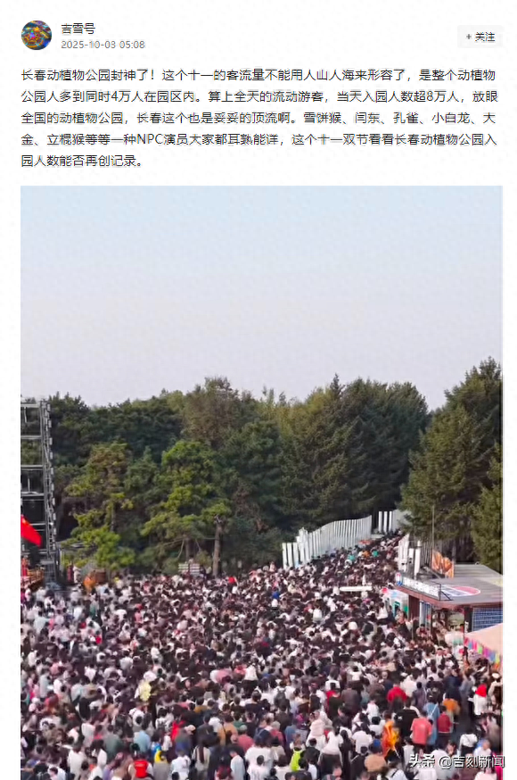 吉林“火”力全开！多元体验解锁假日新乐趣！