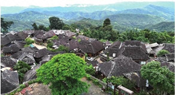 景迈山：茶山云海引客来