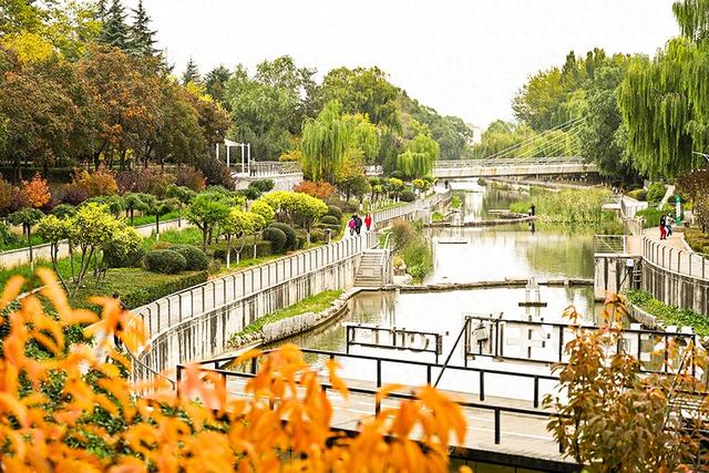 “醉”秋上线！潞州区美翻了