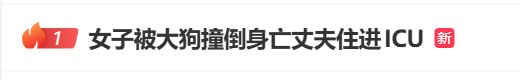 女子骑行被未拴绳大狗撞倒身亡，5个月后丈夫突发脑溢血进ICU，家中还有3个孩子两个老人……警方已立案侦查