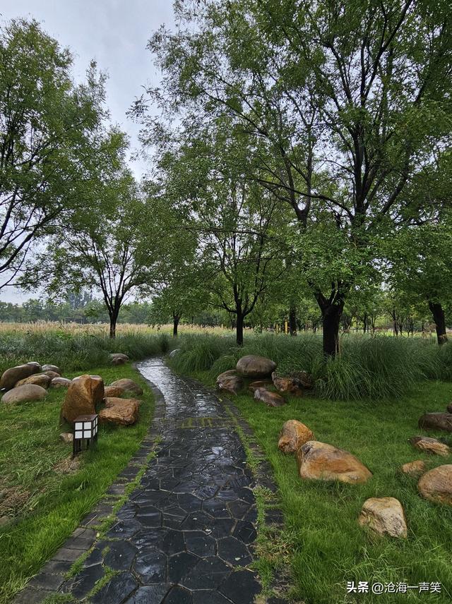 雨景，风景，路景，树景，一路风景，一路顺风，一路畅通！