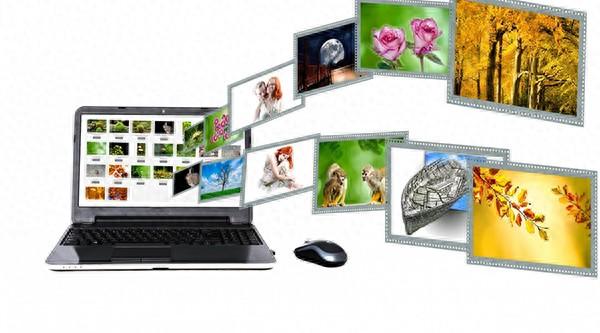 如何做网站建设团队建设（团队建设方案策划）