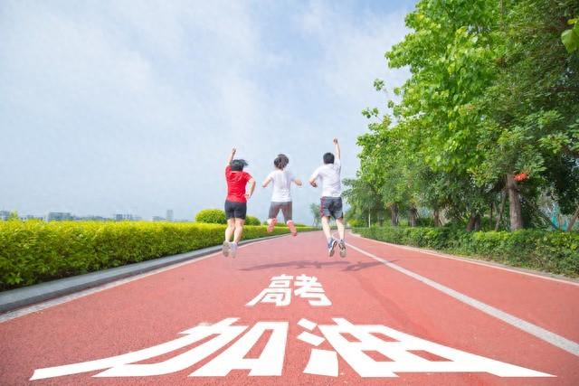 大学四年生攻略（从高考志愿到理想offer）