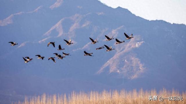 南方避寒城市大PK：三亚、北海、西双版纳，你选谁？