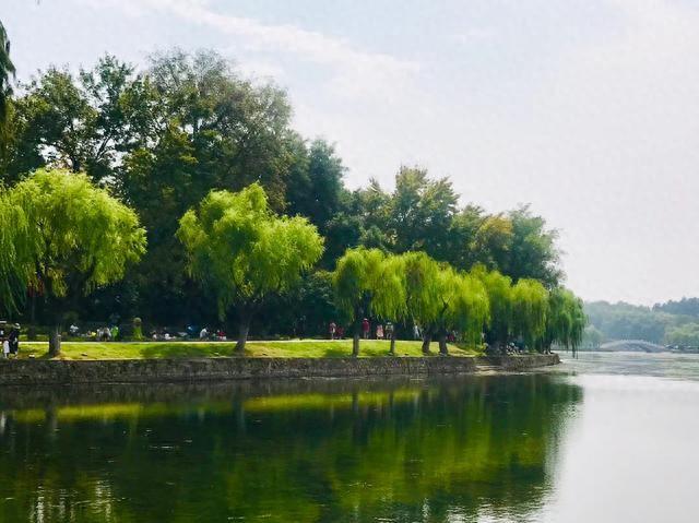 梨如何组词（三年级上册多音字和形近字整理）