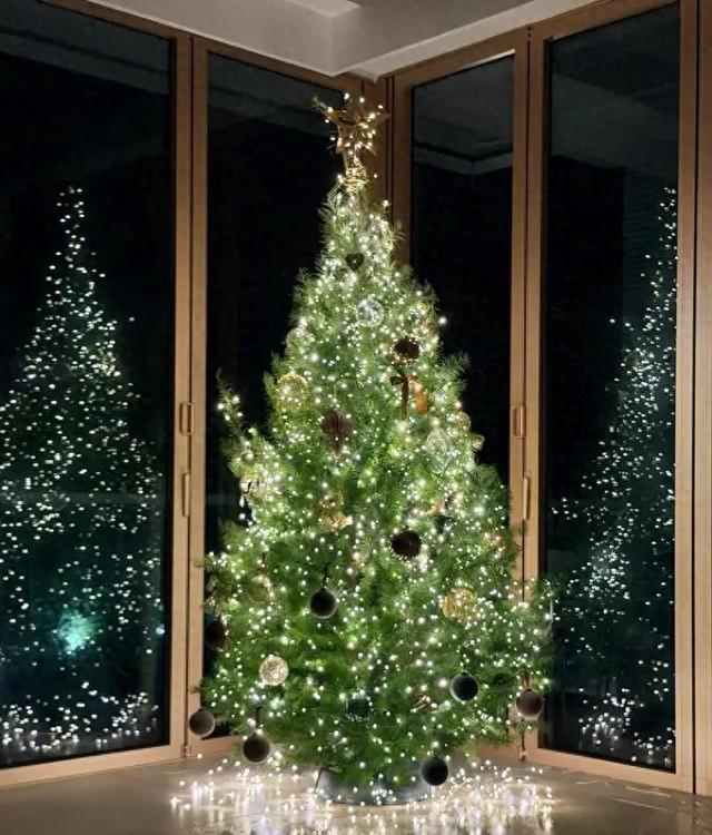 TVB两届视后新婚豪宅曝光，否认怀孕传闻!