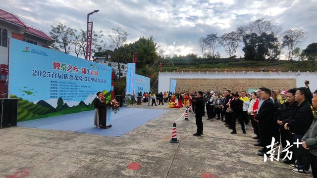 穿越万亩茶园，紫金龙窝首届徒步活动吸引千人打卡“蝉茶小镇”