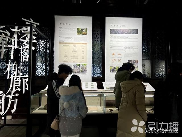 秫香馆“变身”文化展厅 拙政园开年首展开幕