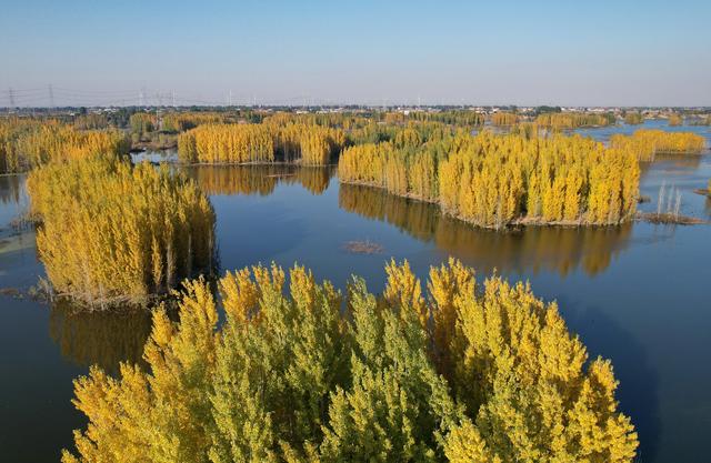 河北隆尧：初冬泜河风光秀美