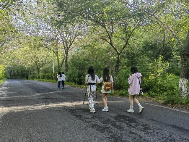 雅山打卡点和出行攻略