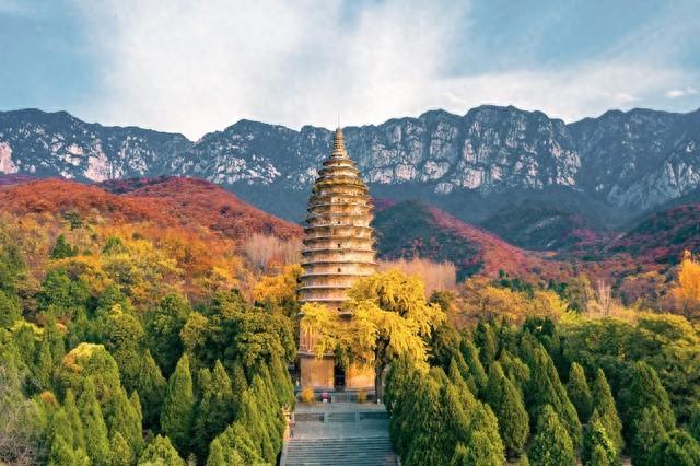 止（不是停）