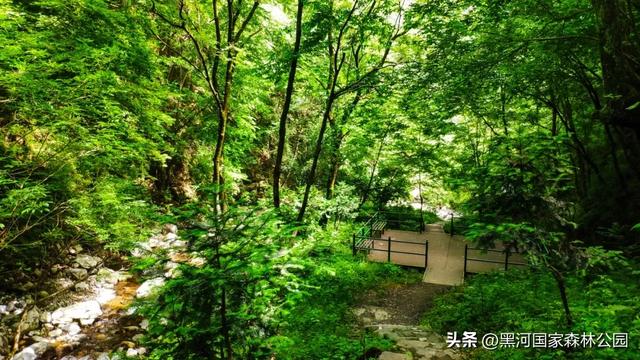 西安周边 | 这个秋天不可错过的宝藏旅行地！