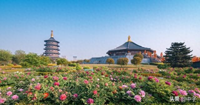 洛阳又火了！入选世界最美城市，三天这样玩，保姆级攻略快收好