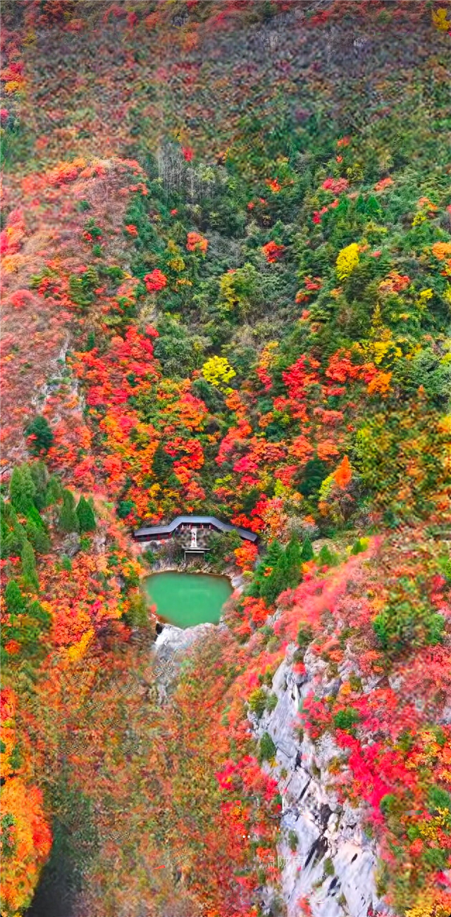 【联动宣传】陇南诗行｜西狭颂秋韵，秦皇湖映色：山水与人文的对望