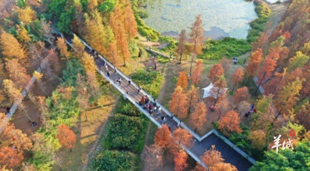 广州已建成碧道1456公里，绿意蓝调间畅享清凉夏日