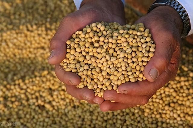 中方不买，美国2200万吨订单清零？沉默11天后，特朗普新制裁来了