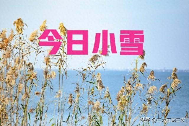 “最怕小雪一日晴”，今日小雪，晴天有啥好怕？看老祖宗咋说