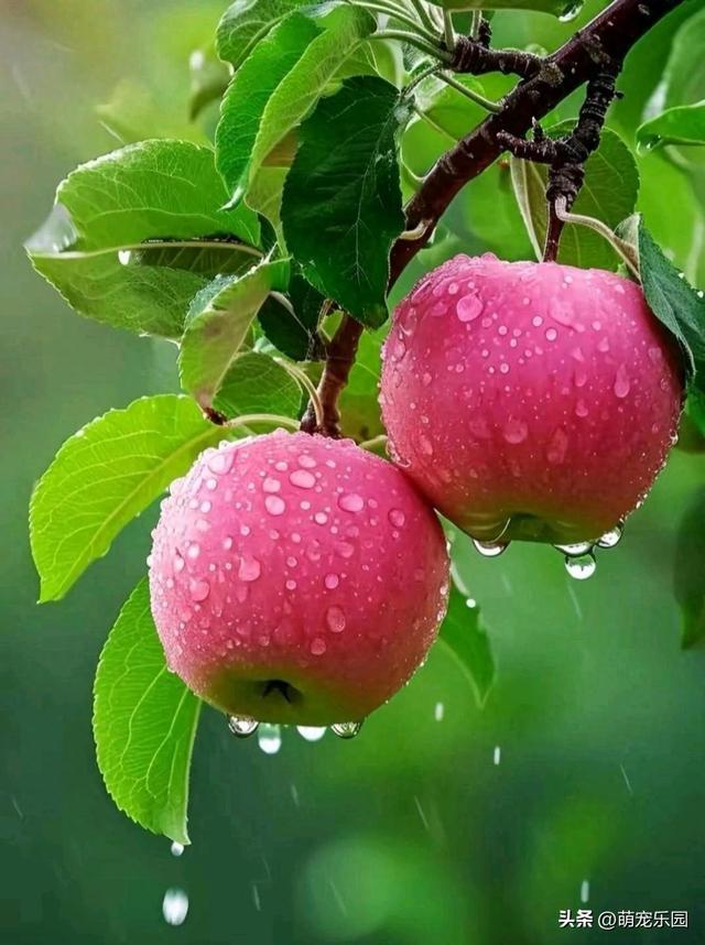 指尖轻触定格美好，民俗风情与生活交织，让冰冷屏幕拥有温度