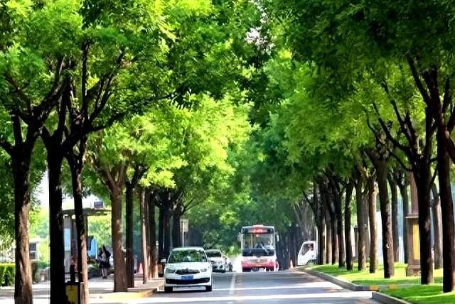 电话能打不能接是怎么回事（很多人开始拒接陌生电话）