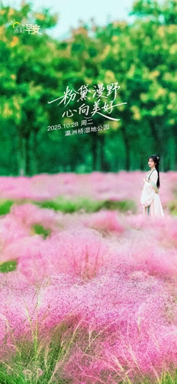 洛阳·早安|粉黛漫野 心向美好