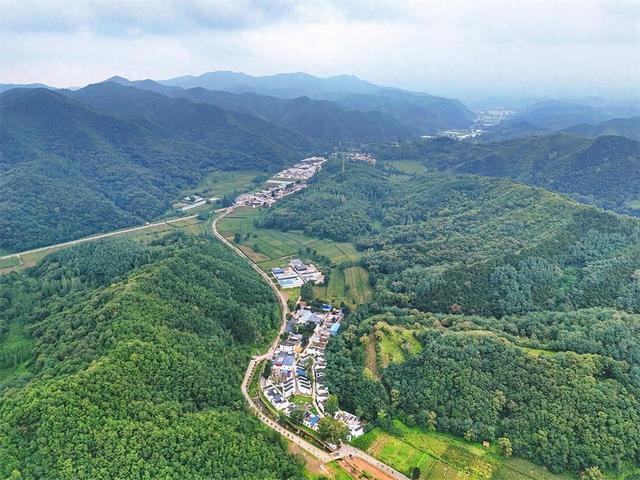 泗交之绿 沁透心扉