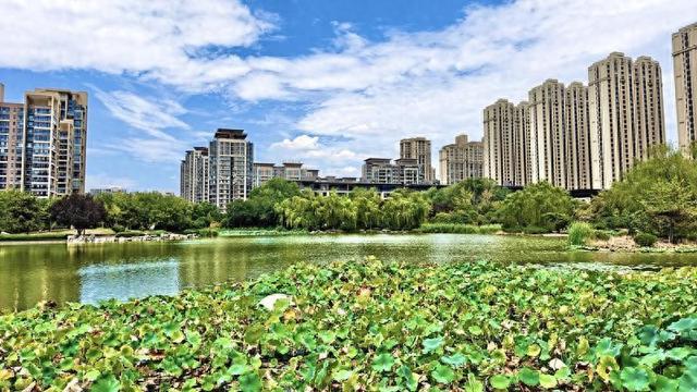 西安木塔寺公园里碧波荡漾 风景如画