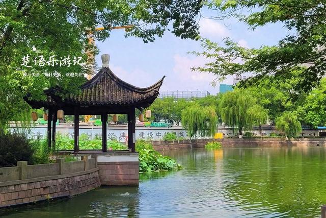 浙江宁波最具诗意的风景，荷花亭台相互映衬，古韵盎然景美如画