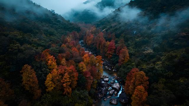 绯云坠野丹枫岫，金浪翻空粤韵稠 —— 羊城秋行揽胜记