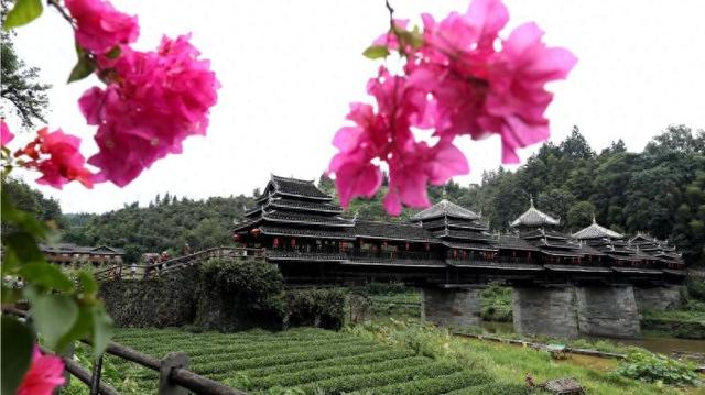 广西三江：暑期游侗寨