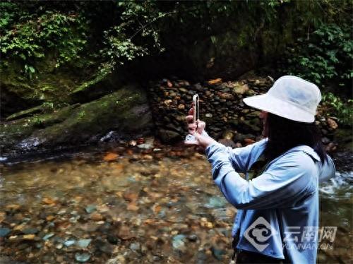全国媒体达人探秘云南哀牢山 深度体验“与生态共生”旅居新方式