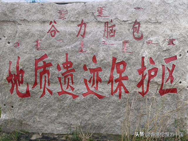 寻找谷力脑包