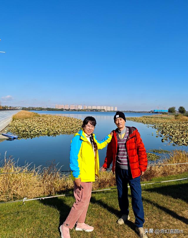 当代散文|长春西湖的湖光水色