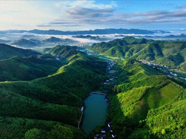 浙江宣传丨奇山有奇树