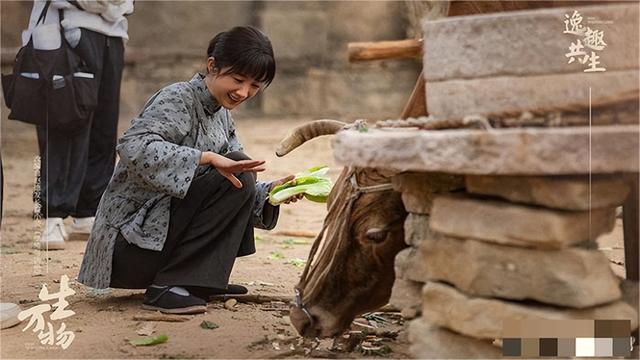戏里又土又丑，戏外却是气质美女，“妈妈专业户”迟蓬让人敬佩