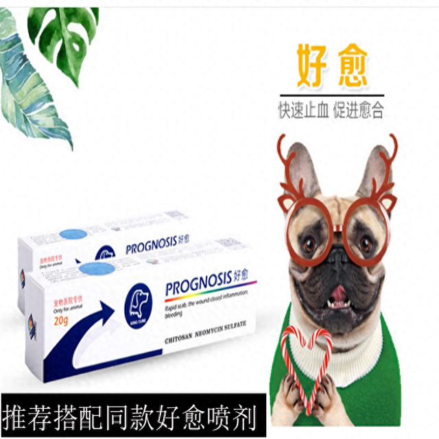 狗狗发烧了应该吃什么药（狗狗生病不用慌5类常备药清单请收好）