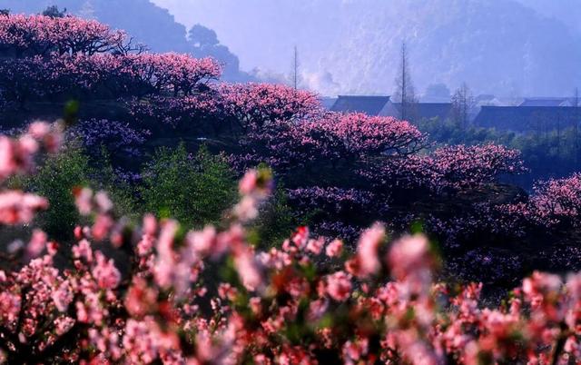 人这一辈子，一定要去一趟奉化！